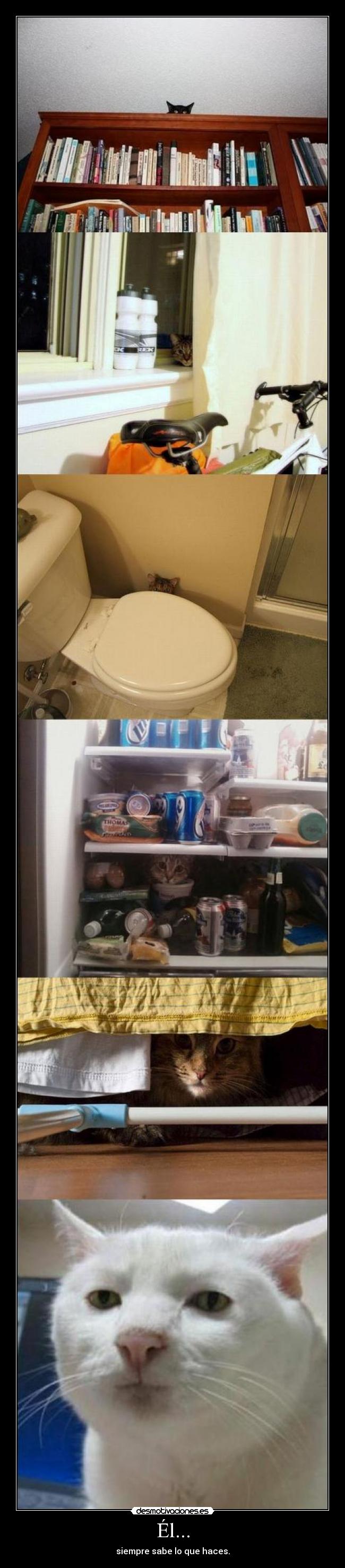 Él... - siempre sabe lo que haces.