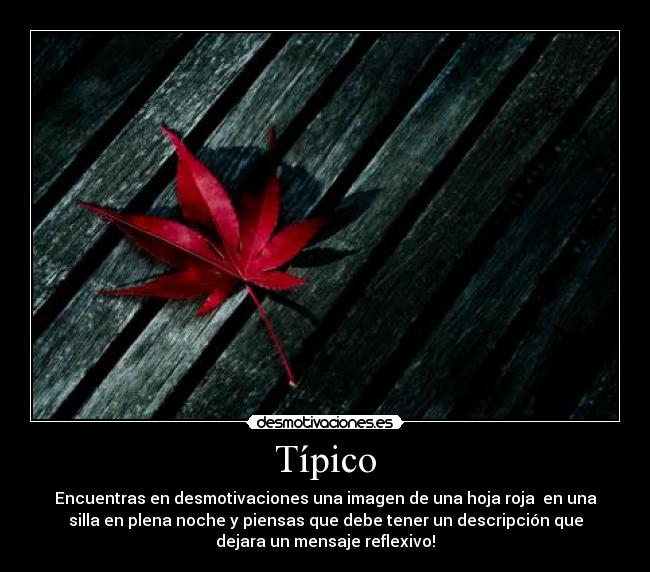 carteles tipico desmotivaciones