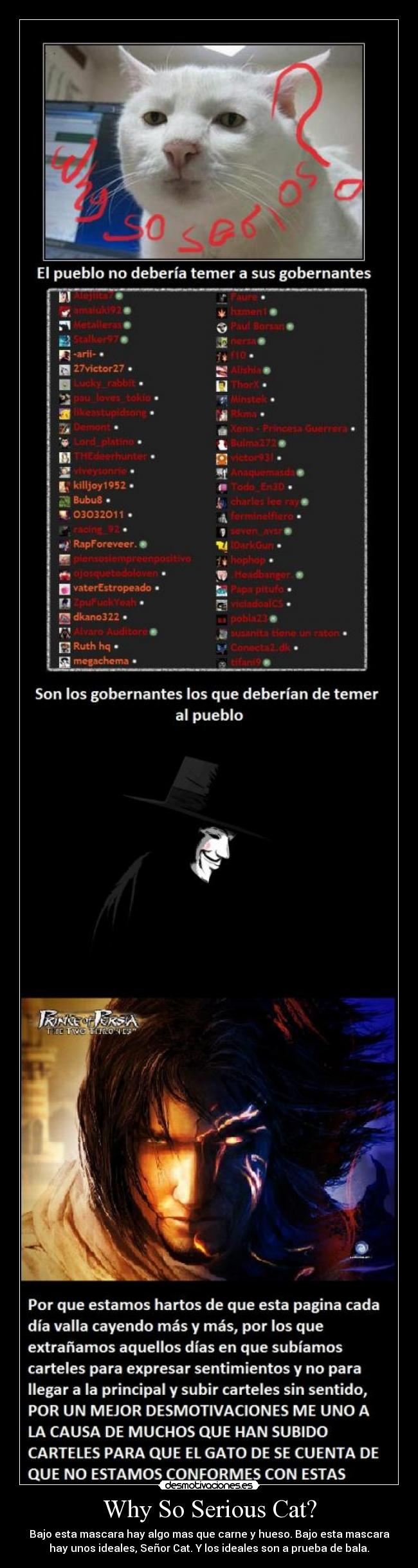 Why So Serious Cat? -