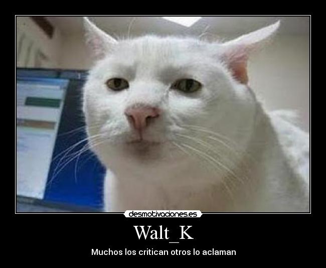 Walt_K - Muchos los critican otros lo aclaman