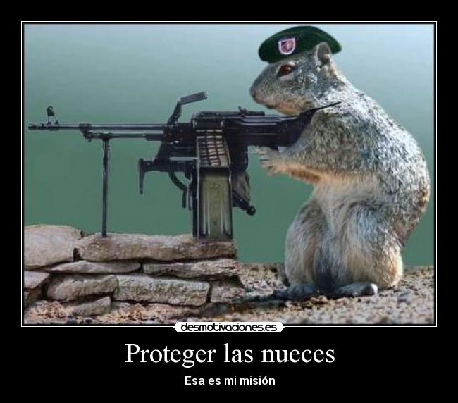 Proteger las nueces - Esa es mi misión