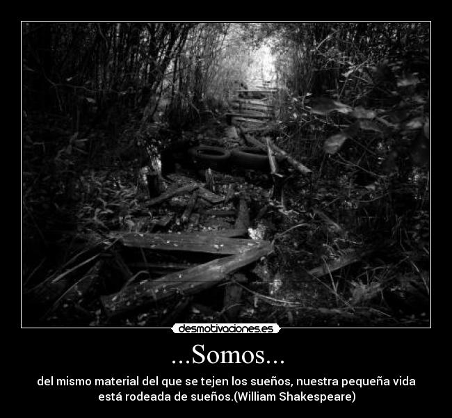 ...Somos... - 