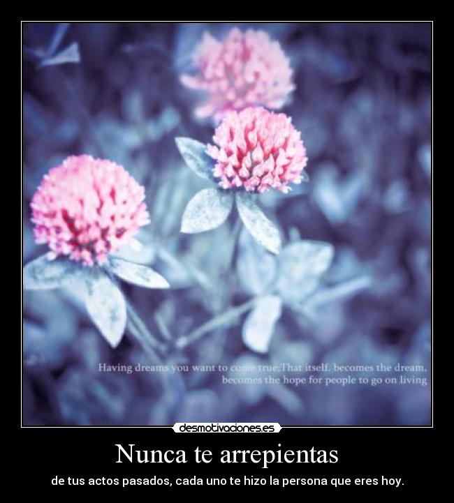 Nunca te arrepientas - de tus actos pasados, cada uno te hizo la persona que eres hoy.
