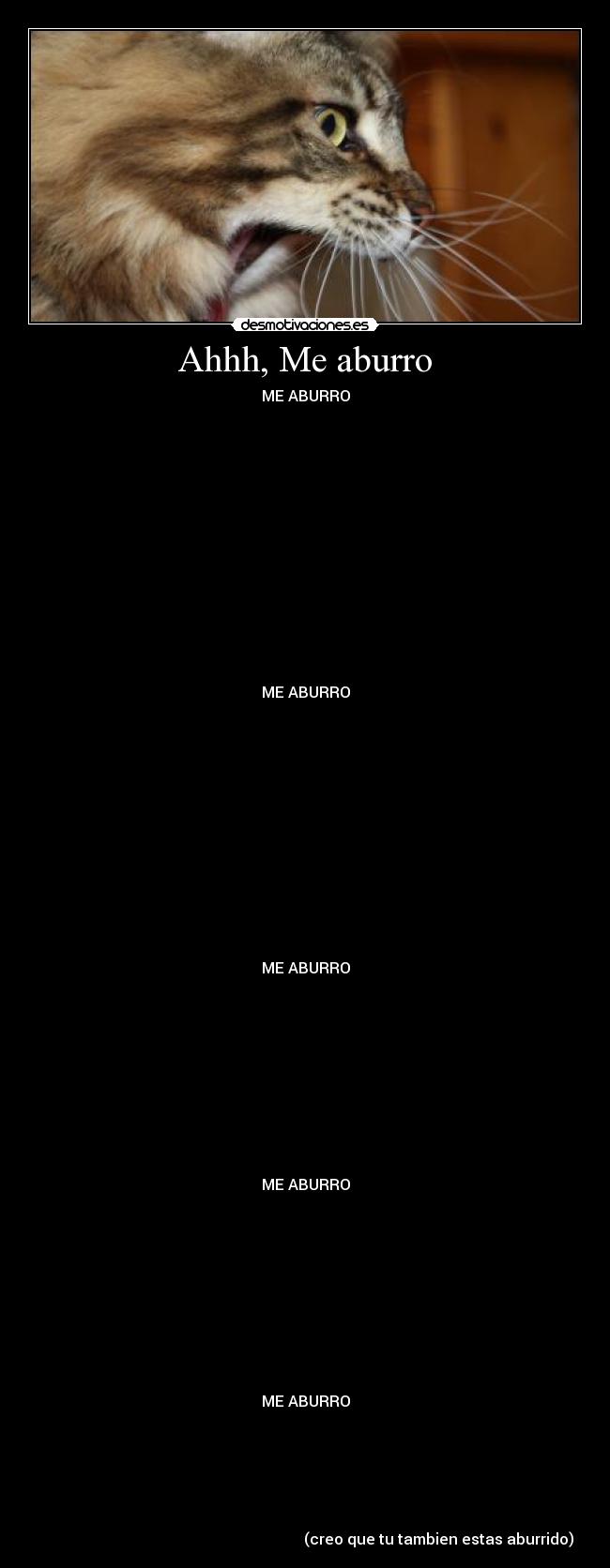 Ahhh, Me aburro - ME ABURRO
ME ABURRO
ME ABURRO
ME ABURRO
ME ABURRO
(creo que tu tambien estas aburrido)