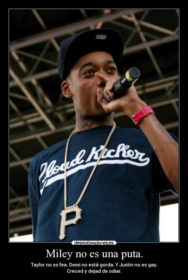 carteles miley cyrus demi lovato taylor swift justin bieber puta fea gorda gay wiz khalifa desmotivaciones