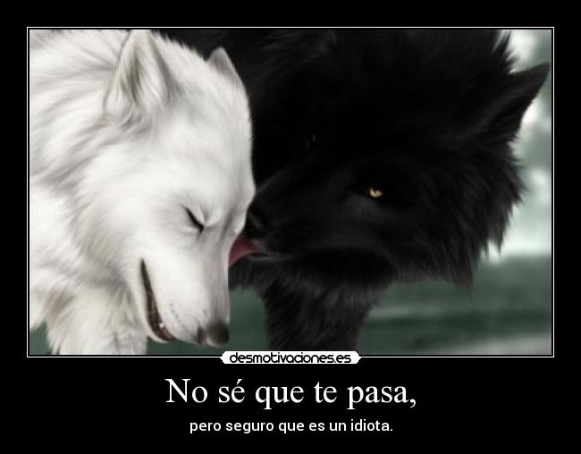 No sé que te pasa, - pero seguro que es un idiota.