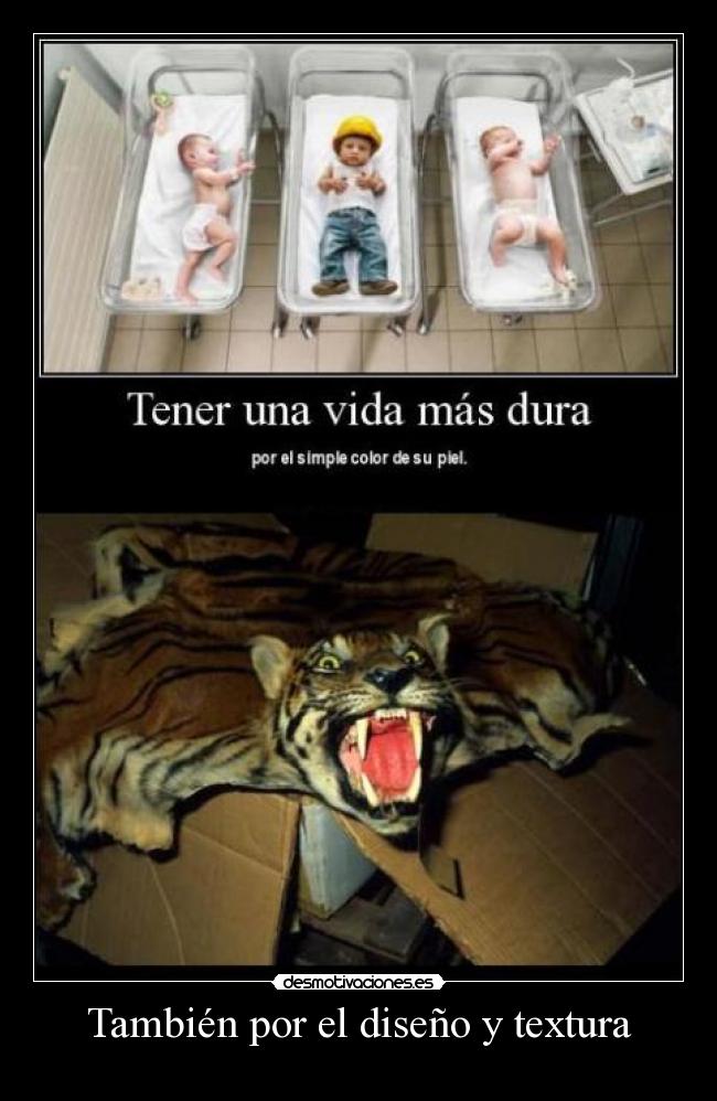 También por el diseño y textura -