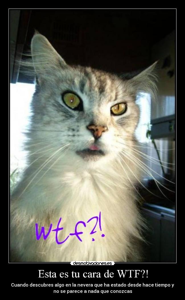 Esta es tu cara de WTF?! - Cuando descubres algo en la nevera que ha estado desde hace tiempo y
no se parece a nada que conozcas