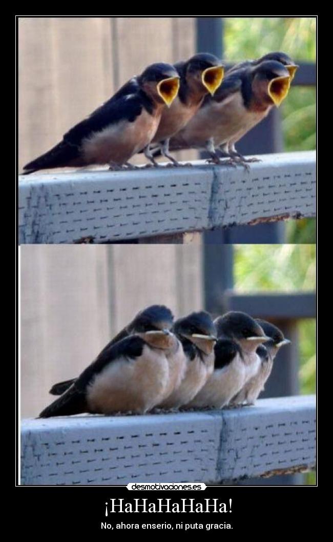 carteles diego party partyhard intruders aajajajjaaajaj loooooooooooooooooooooooooooooooooooooooooooooooooooo desmotivaciones