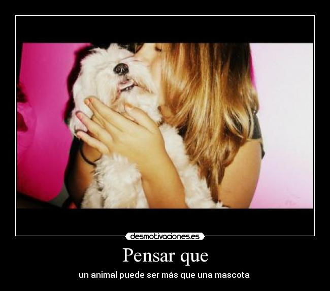Pensar que - un animal puede ser más que una mascota ♥