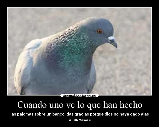 Cuando uno ve lo que han hecho - 