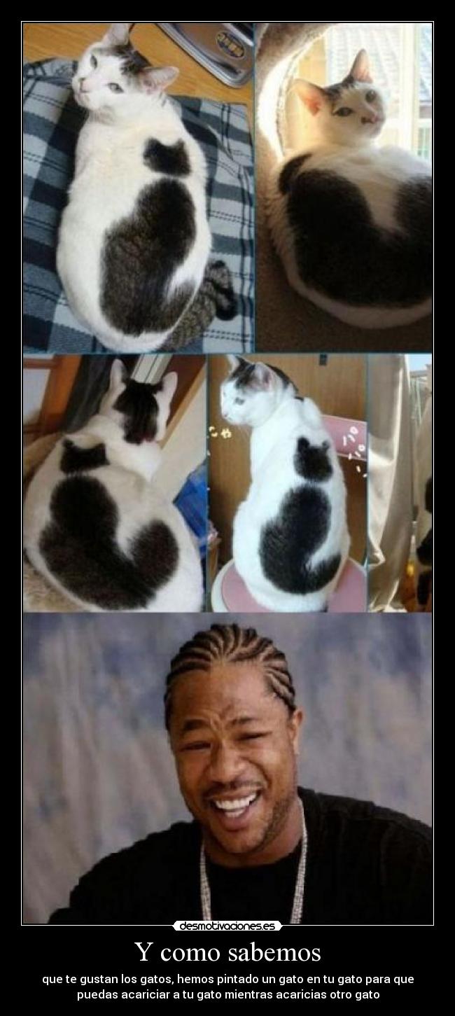 Y como sabemos - que te gustan los gatos, hemos pintado un gato en tu gato para que
puedas acariciar a tu gato mientras acaricias otro gato