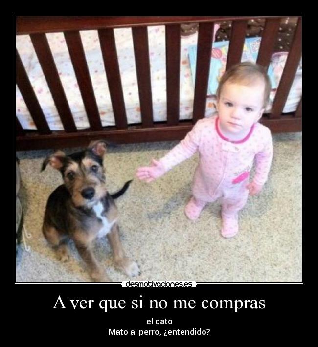 A ver que si no me compras -
