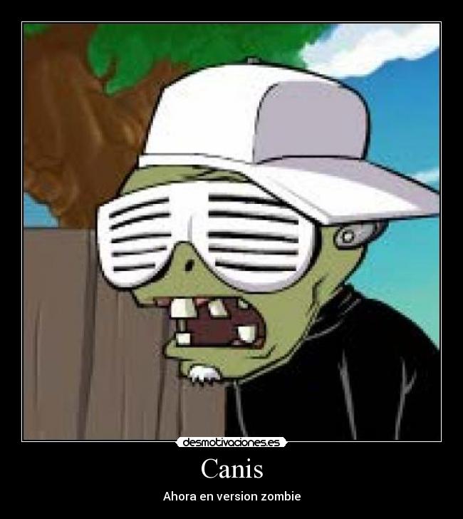 carteles canis desmotivaciones