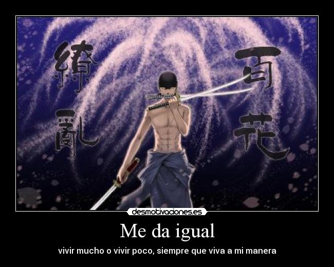 carteles one piece zoro dedicado cabezon jere que queria subir con poco retraso desmotivaciones