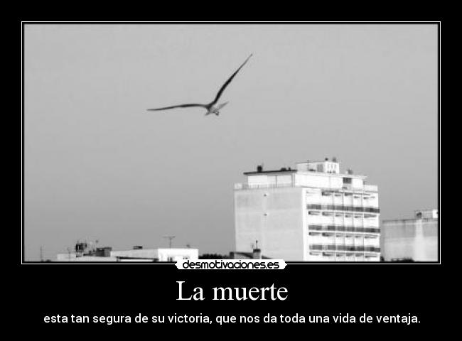carteles muerte muerte vida victoria ventaja desmotivaciones