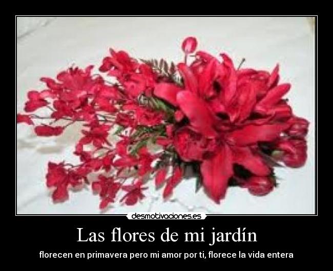 Las flores de mi jardín - florecen en primavera pero mi amor por ti, florece la vida entera