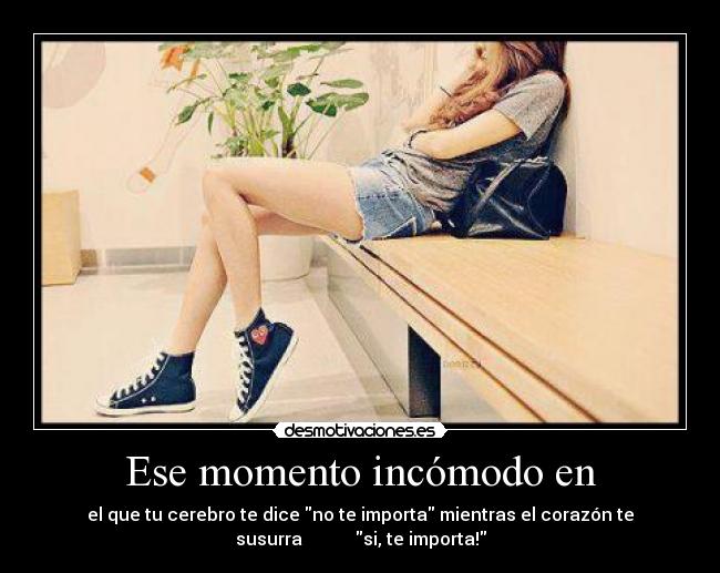 carteles amor desamor desmotivaciones