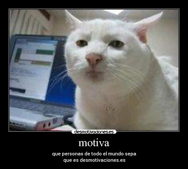 motiva -