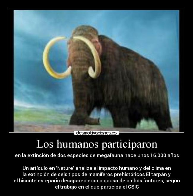Los humanos participaron - 