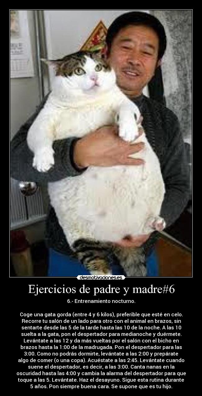 Ejercicios de padre y madre#6 -