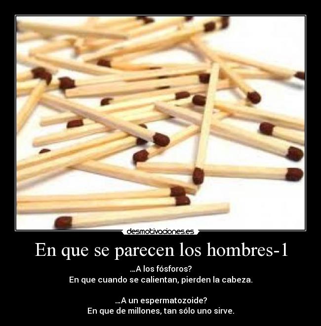 En que se parecen los hombres-1 -