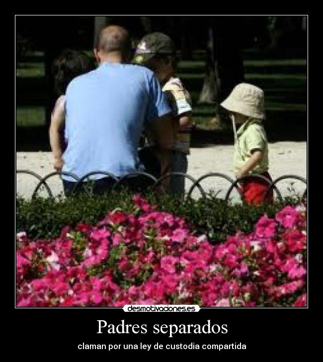 Padres separados - claman por una ley de custodia compartida