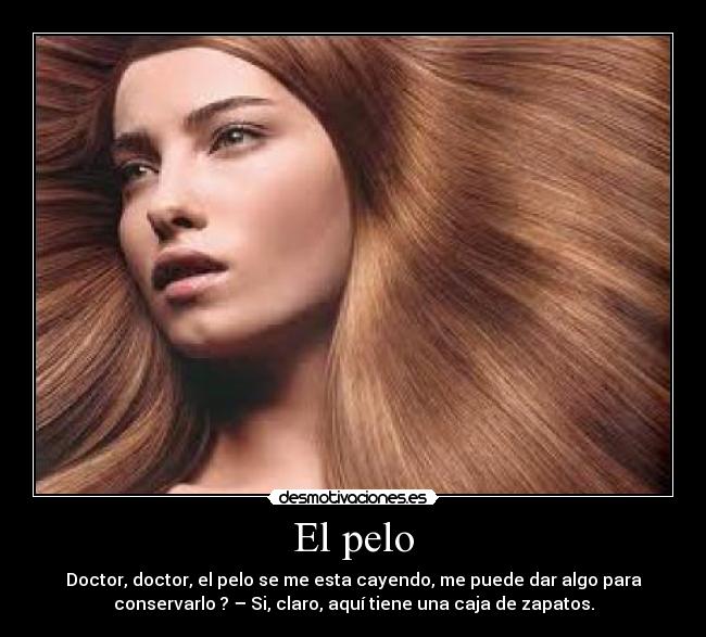 carteles tfr desmotivaciones