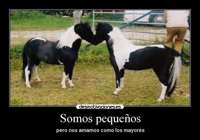 Somos pequeños - 