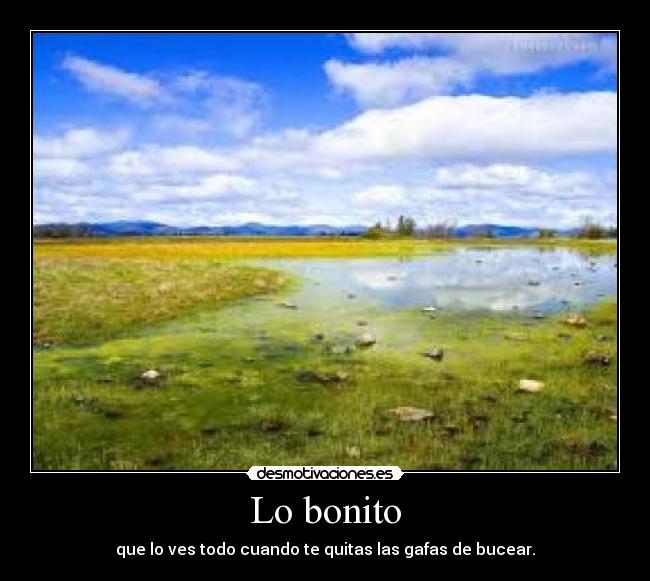 Lo bonito - que lo ves todo cuando te quitas las gafas de bucear.