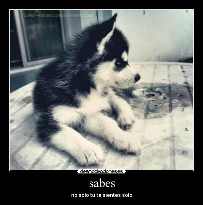 sabes - no solo tu te sientes solo