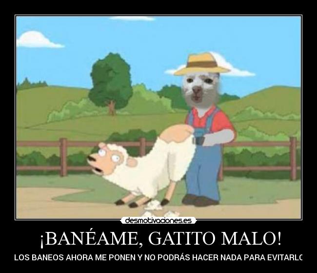 ¡BANÉAME, GATITO MALO! - ¡LOS BANEOS AHORA ME PONEN Y NO PODRÁS HACER NADA PARA EVITARLO!