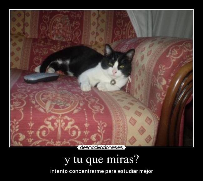 y tu que miras? - intento concentrarme para estudiar mejor