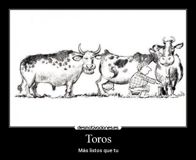 Toros - Más listos que tu