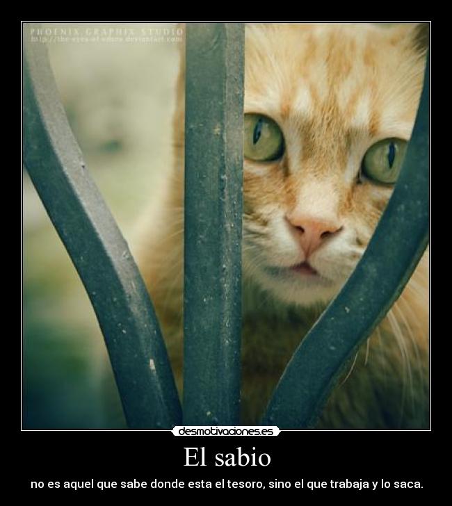 El sabio - no es aquel que sabe donde esta el tesoro, sino el que trabaja y lo saca.