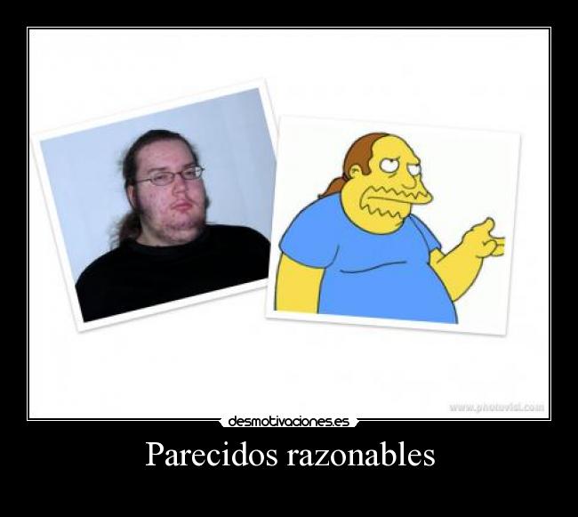 Parecidos razonables -