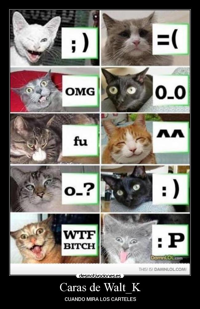 Caras de Walt_K - CUANDO MIRA LOS CARTELES