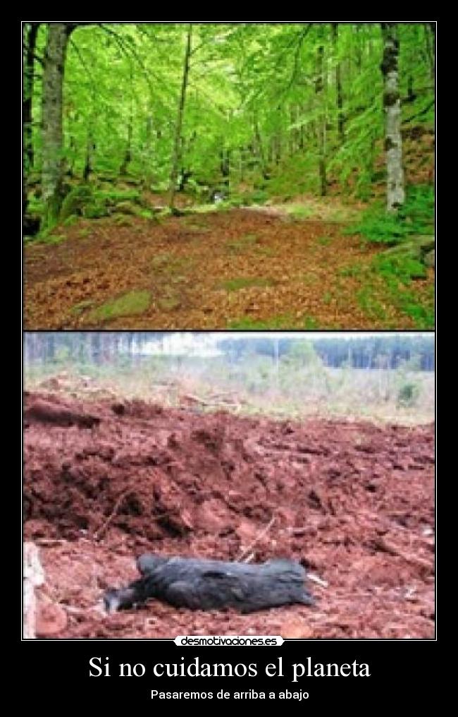 Si no cuidamos el planeta -