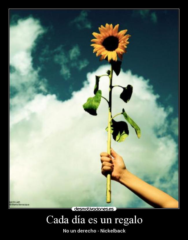 Cada día es un regalo - No un derecho - Nickelback