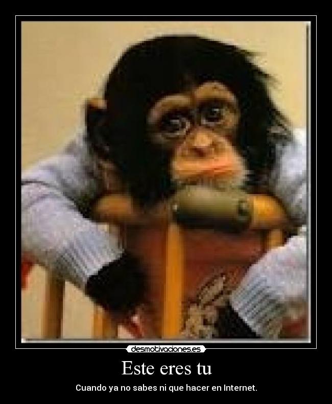 Este eres tu - Cuando ya no sabes ni que hacer en Internet.