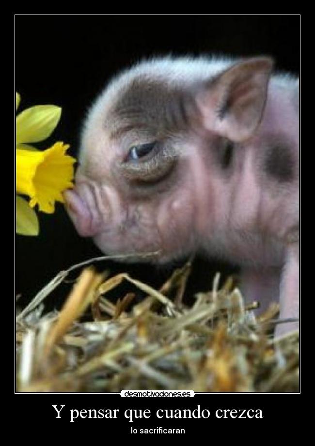 Y pensar que cuando crezca -