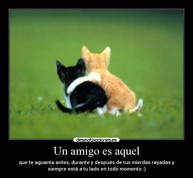 Un amigo es aquel - que te aguanta antes, durante y después de tus mierdas rayadas y
siempre está a tu lado en todo momento :)