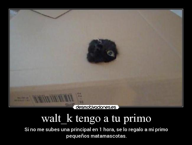 walt_k tengo a tu primo -