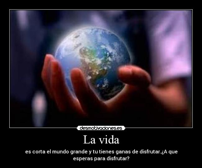 La vida - 