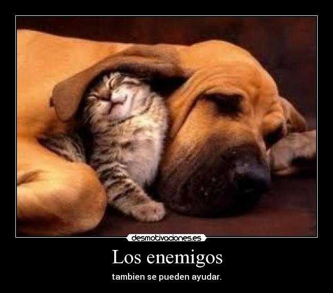 Los enemigos -
