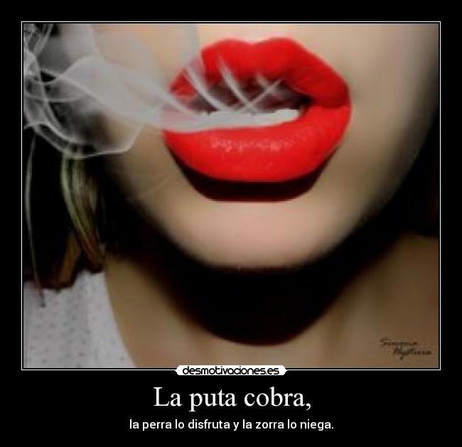 La puta cobra, - la perra lo disfruta y la zorra lo niega.