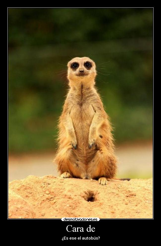 carteles diego party partyhard desmotivaciones