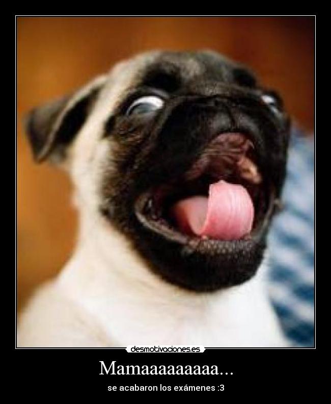 Mamaaaaaaaaa... - se acabaron los exámenes :3