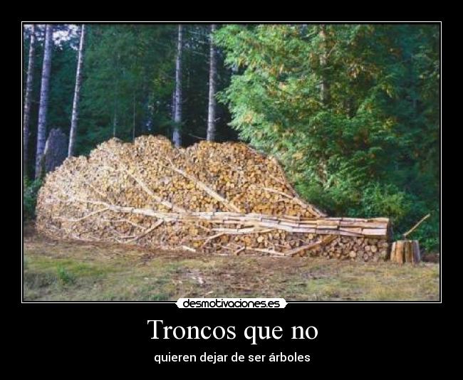 Troncos que no - quieren dejar de ser árboles