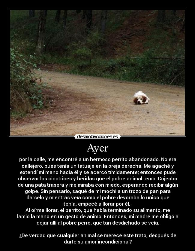 Ayer - por la calle, me encontré a un hermoso perrito abandonado. No era
callejero, pues tenía un tatuaje en la oreja derecha. Me agaché y
extendí mi mano hacia él y se acercó tímidamente; entonces pude
observar las cicatrices y heridas que el pobre animal tenía. Cojeaba
de una pata trasera y me miraba con miedo, esperando recibir algún
golpe. Sin pensarlo, saqué de mi mochila un trozo de pan para
dárselo y mientras veía cómo el pobre devoraba lo único que
tenía, empecé a llorar por él.
Al oírme llorar, el perrito, que había terminado su alimento, me
lamió la mano en un gesto de ánimo. Entonces, mi madre me obligó a
dejar allí al pobre perro, que tan desdichado se veía.
¿De verdad que cualquier animal se merece este trato, después de
darte su amor incondicional?